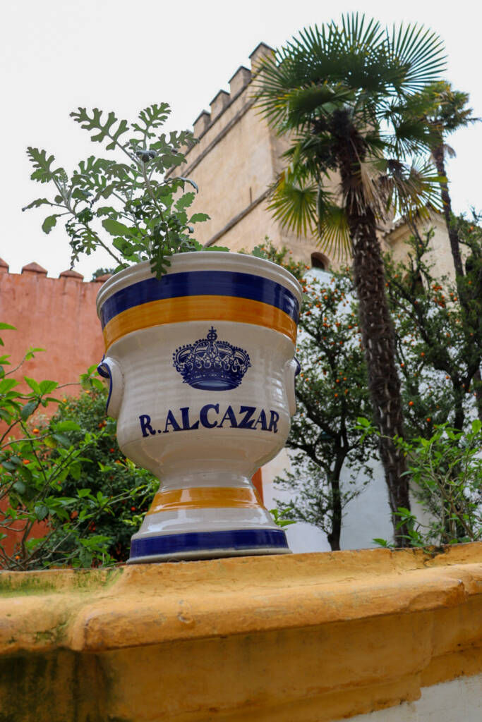 Photo d'un pot de fleur au premier plan avec l'inscription "R.ALCAZAR" pour le Real Alcazar de Séville. En second plan, une tour et des plantes comme un palmier.