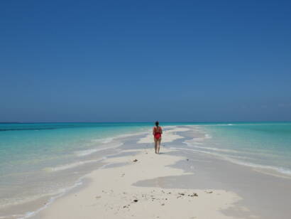 Plage paradisiaque de Zanzibar
