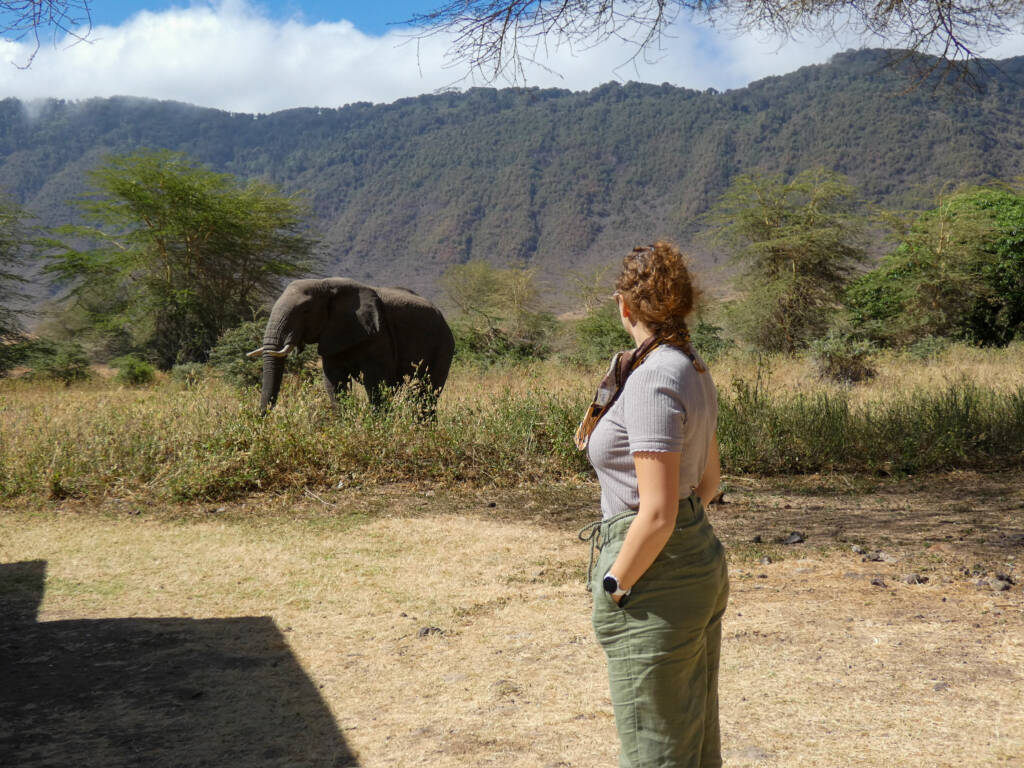 FRUGERE Manon entrain de regarder un éléphant dans le cratère de Ngorongoro en Tanzanie