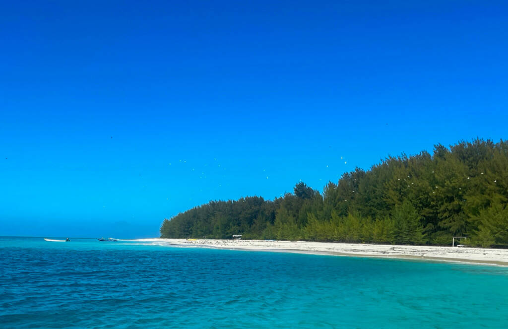 Ile de Mnemba Island
