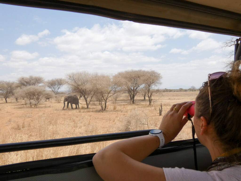 FRUGERE manon entrain de regarder via ses jumelles un éléphant en safarien Tanzanie
