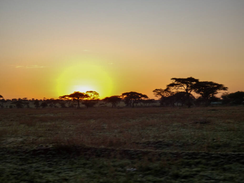 Lever de soleil en Tanzanie, lors d'un safari, dans le parc Serengeti