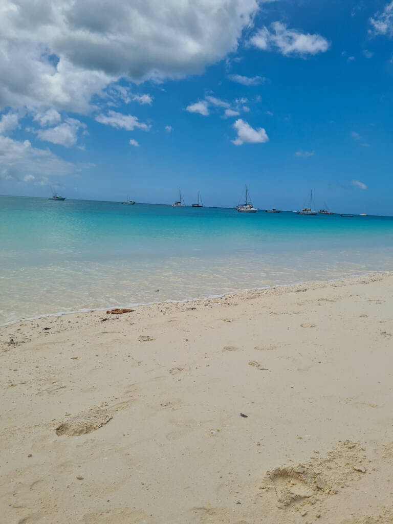 Plage sur l'île de Zanzibar en Tanzanie