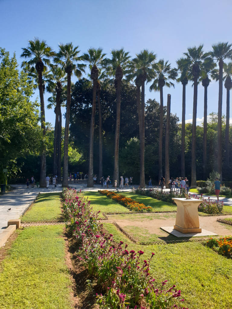 Palmiers au Jardin National d'Athènes en Grèce